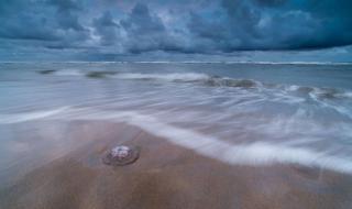 每周至少给孩子一次